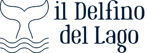 Il Delfino del Lago – B&B – Riva di Solto – Lago d'Iseo